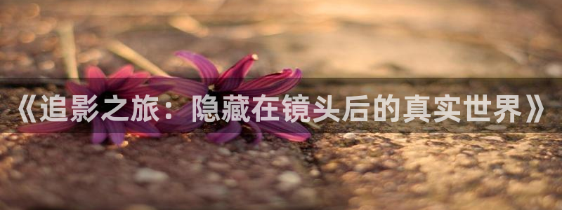 超碰男女：《追影之旅：隐藏在镜头后的真实世界》