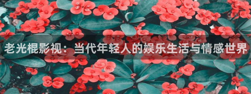 快播电影超碰：老光棍影视：当代年轻人的娱乐生活与情感世界