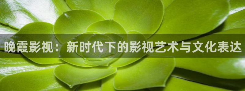 caoporn超碰地址：晚霞影视：新时代下的影视艺术与文化表达