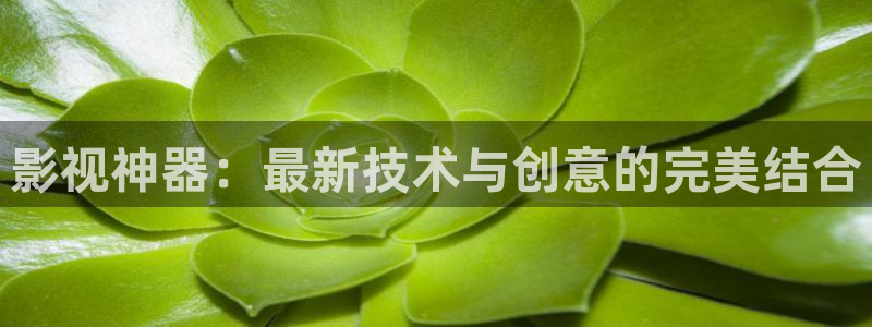 超碰播放在线：影视神器：最新技术与创意的完美结合