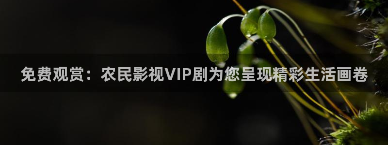 canporen超碰在线：免费观赏：农民影视VIP剧为您呈现精彩生活画卷