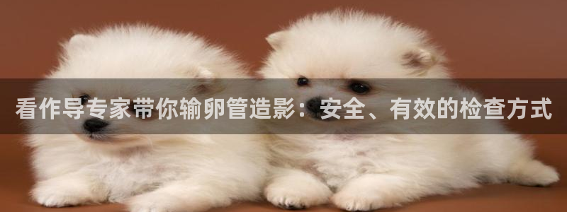 快播电影超碰：看作导专家带你输卵管造影：安全、有效的检查方式