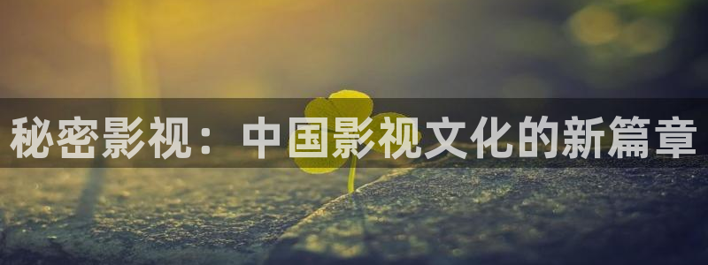 91超碰在线观看：秘密影视：中国影视文化的新篇章